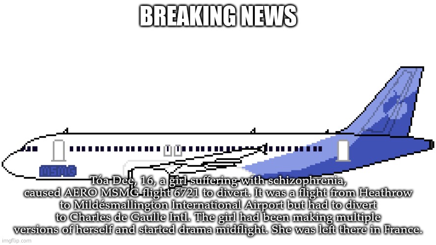 msmg airlines | BREAKING NEWS; Tóa Dee, 16, a girl suffering with schizophrenia, caused AERO MSMG flight 6721 to divert. It was a flight from Heathrow to Mildésmallington International Airport but had to divert to Charles de Gaulle Intl. The girl had been making multiple versions of herself and started drama midflight. She was left there in France. | image tagged in msmg airlines | made w/ Imgflip meme maker