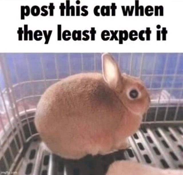 Repost Blank Meme Template