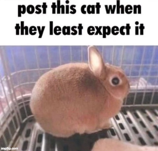 Repost | image tagged in repost | made w/ Imgflip meme maker