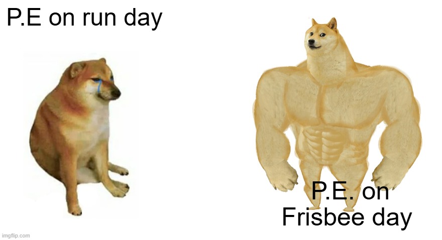 -_- | P.E on run day; P.E. on Frisbee day | image tagged in swole doge vs cheems flipped | made w/ Imgflip meme maker