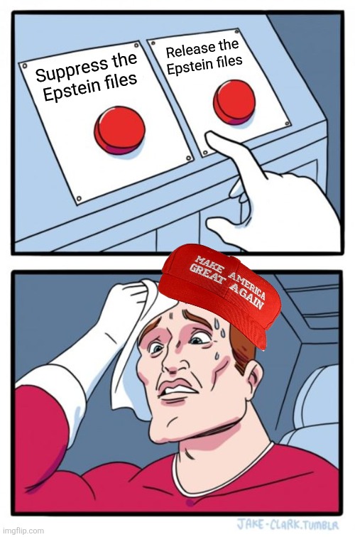 MAGA voter | Release the Epstein files; Suppress the Epstein files | image tagged in memes,two buttons | made w/ Imgflip meme maker