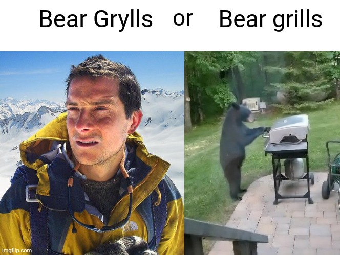 Barely cooked | Bear grills; or; Bear Grylls | image tagged in memes,bear grylls,bear,grilling | made w/ Imgflip meme maker