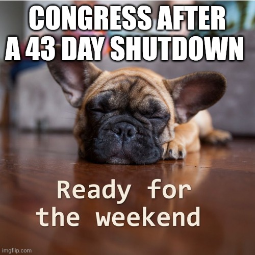 CONGRESS AFTER A 43 DAY SHUTDOWN | image tagged in funny memes | made w/ Imgflip meme maker
