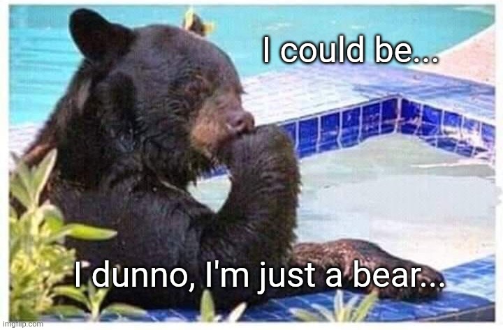 Thinking bear | I could be... I dunno, I'm just a bear... | image tagged in thinking bear | made w/ Imgflip meme maker