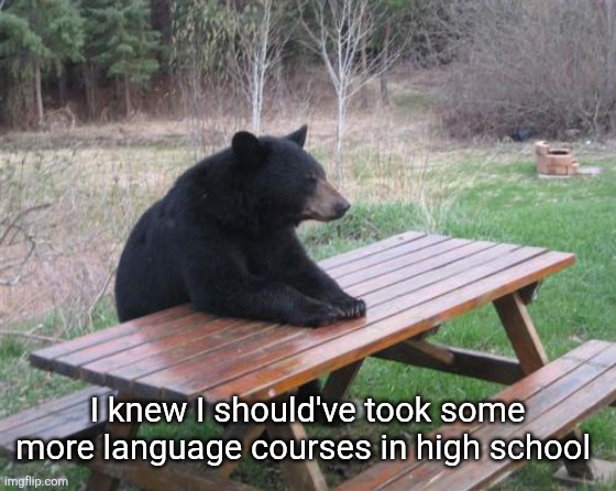 Bad Luck Bear Meme | I knew I should've took some more language courses in high school | image tagged in memes,bad luck bear | made w/ Imgflip meme maker