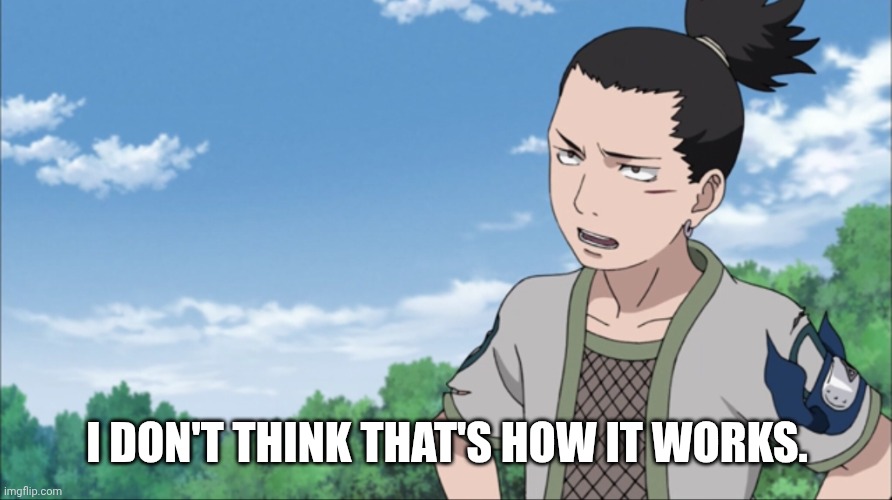 Shikamaru | I DON'T THINK THAT'S HOW IT WORKS. | image tagged in shikamaru | made w/ Imgflip meme maker
