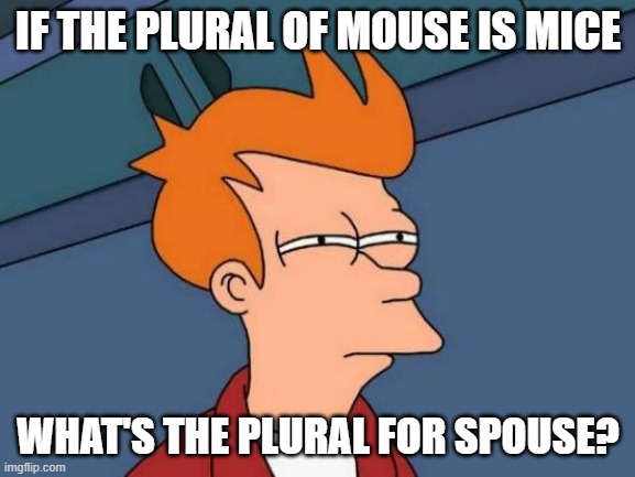 Futurama Fry | IF THE PLURAL OF MOUSE IS MICE; WHAT'S THE PLURAL FOR SPOUSE? | image tagged in memes,futurama fry,funny,fun | made w/ Imgflip meme maker