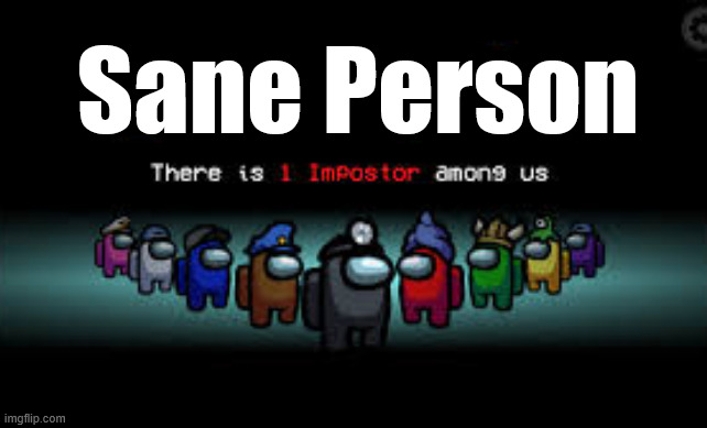 Sane Person | image tagged in there is 1 imposter among us | made w/ Imgflip meme maker