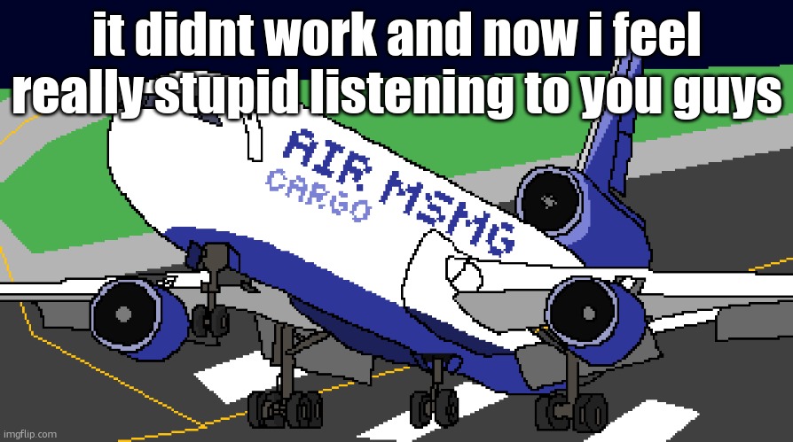 air msmg cargo | it didnt work and now i feel really stupid listening to you guys | image tagged in air msmg cargo | made w/ Imgflip meme maker