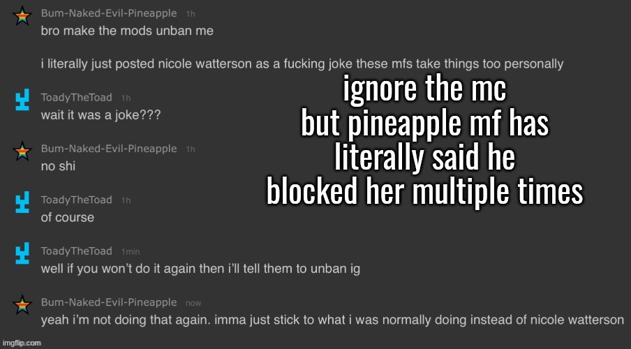 im almost done glazing toady hold on | ignore the mc but pineapple mf has literally said he blocked her multiple times | made w/ Imgflip meme maker