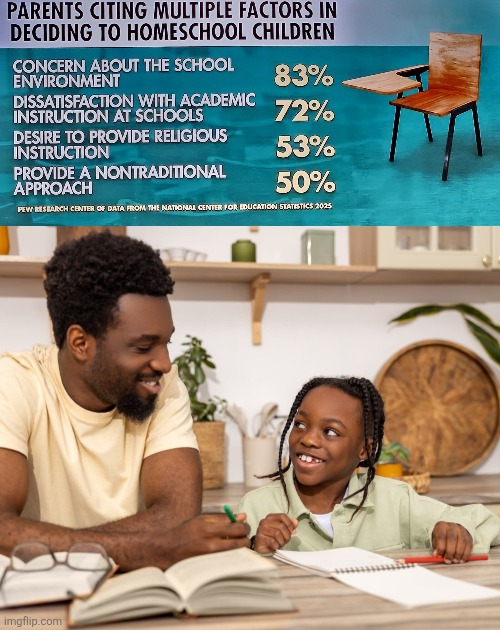 Multiple factors deciding to homeschool children | image tagged in homeschooling decision factors,homeschooling father,education,parental control,critical thinking | made w/ Imgflip meme maker
