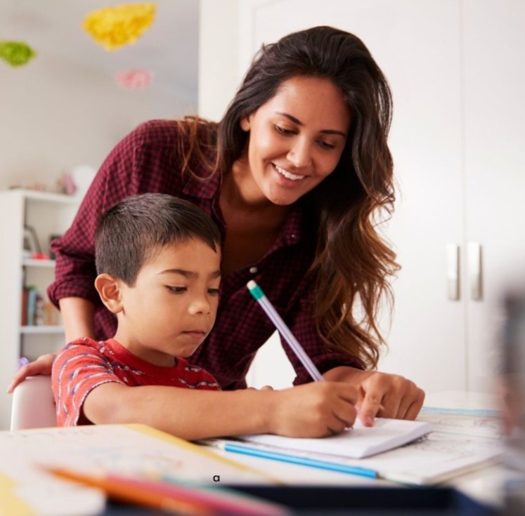 Homeschooling mother Blank Meme Template