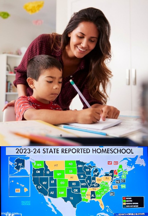 States reporting homeschooling | image tagged in homeschooling mother,states reporting homeschooling 2023-2024,education,critical thinking | made w/ Imgflip meme maker