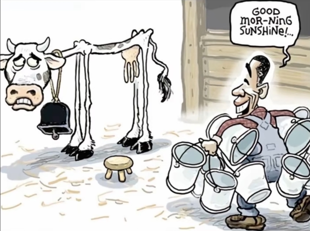 Cow Blank Meme Template