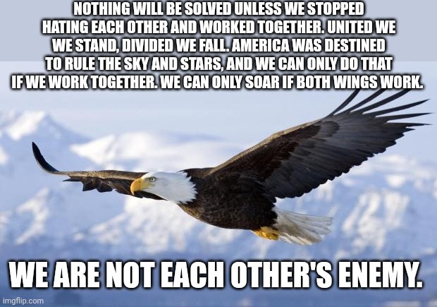eagle | NOTHING WILL BE SOLVED UNLESS WE STOPPED HATING EACH OTHER AND WORKED TOGETHER. UNITED WE WE STAND, DIVIDED WE FALL. AMERICA WAS DESTINED TO RULE THE SKY AND STARS, AND WE CAN ONLY DO THAT IF WE WORK TOGETHER. WE CAN ONLY SOAR IF BOTH WINGS WORK. WE ARE NOT EACH OTHER'S ENEMY. | image tagged in eagle | made w/ Imgflip meme maker