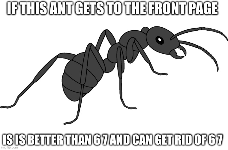 front page guys | IF THIS ANT GETS TO THE FRONT PAGE; IS IS BETTER THAN 6 7 AND CAN GET RID OF 6 7 | image tagged in ant,memey | made w/ Imgflip meme maker