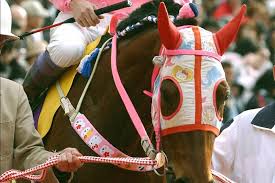 hello kitty mask horse Blank Meme Template