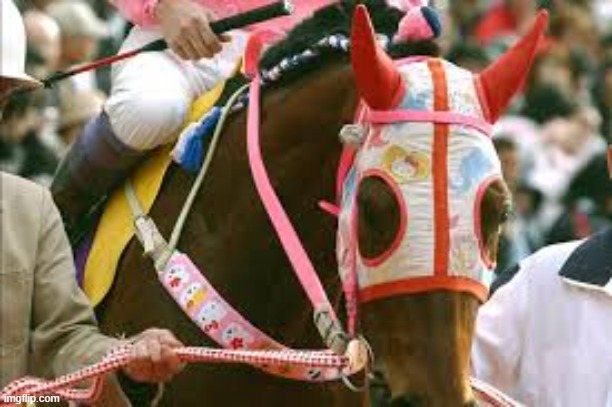 anyways why 67 followers in this stream | image tagged in hello kitty mask horse,haru urara,cute horse | made w/ Imgflip meme maker