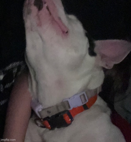 da goob | made w/ Imgflip meme maker