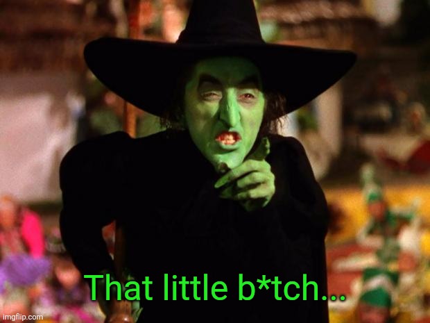 wicked witch  | That little b*tch... | image tagged in wicked witch | made w/ Imgflip meme maker
