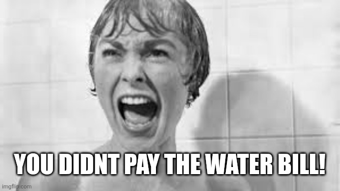psycho scream | YOU DIDNT PAY THE WATER BILL! | image tagged in psycho scream | made w/ Imgflip meme maker