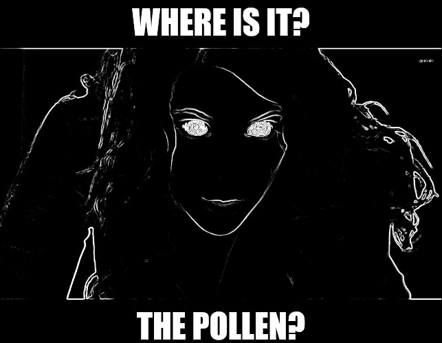 Hypnotizing | WHERE IS IT? THE POLLEN? | image tagged in hypnotizing | made w/ Imgflip meme maker