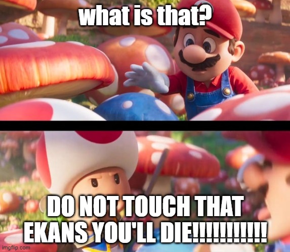 ekans | what is that? DO NOT TOUCH THAT EKANS YOU'LL DIE!!!!!!!!!!! | image tagged in don t touch that you ll die,snake,ekans,mario,toad | made w/ Imgflip meme maker