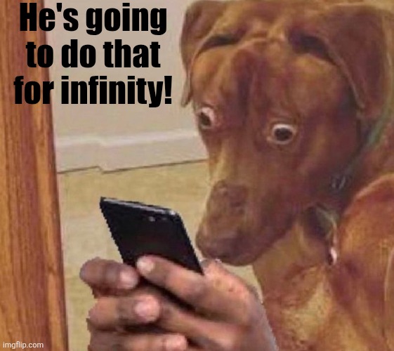 shocked dog | He's going to do that for infinity! | image tagged in shocked dog | made w/ Imgflip meme maker