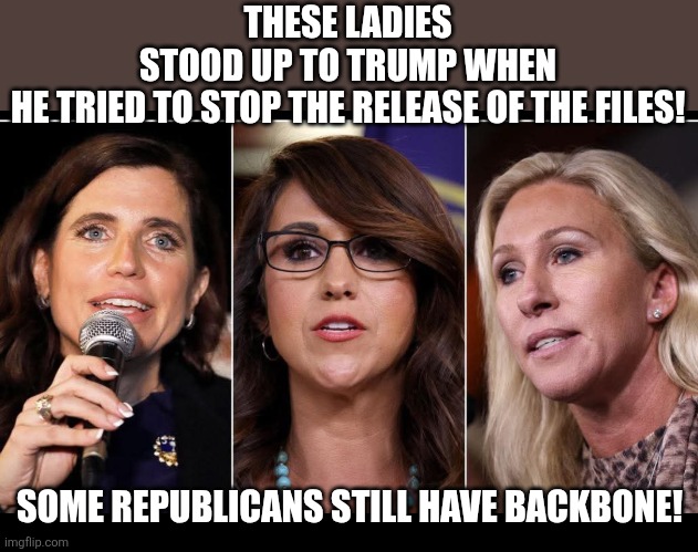 Still some backbone | THESE LADIES STOOD UP TO TRUMP WHEN HE TRIED TO STOP THE RELEASE OF THE FILES! SOME REPUBLICANS STILL HAVE BACKBONE! | image tagged in jeffrey epstein,epstein,trump,donald trump,maga,nevertrump | made w/ Imgflip meme maker