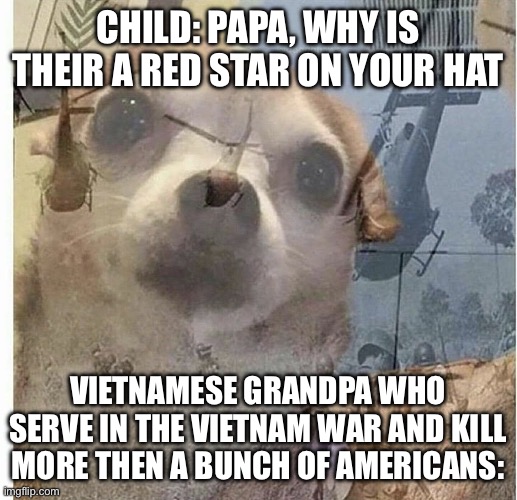 PTSD Chihuahua | CHILD: PAPA, WHY IS THEIR A RED STAR ON YOUR HAT; VIETNAMESE GRANDPA WHO SERVE IN THE VIETNAM WAR AND KILL MORE THEN A BUNCH OF AMERICANS: | image tagged in ptsd chihuahua | made w/ Imgflip meme maker