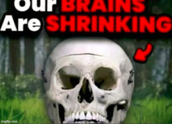 Our BRAINS Are SHRINKING | image tagged in our brains are shrinking | made w/ Imgflip meme maker