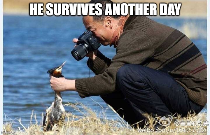 HE SURVIVES ANOTHER DAY | image tagged in duck photographer | made w/ Imgflip meme maker