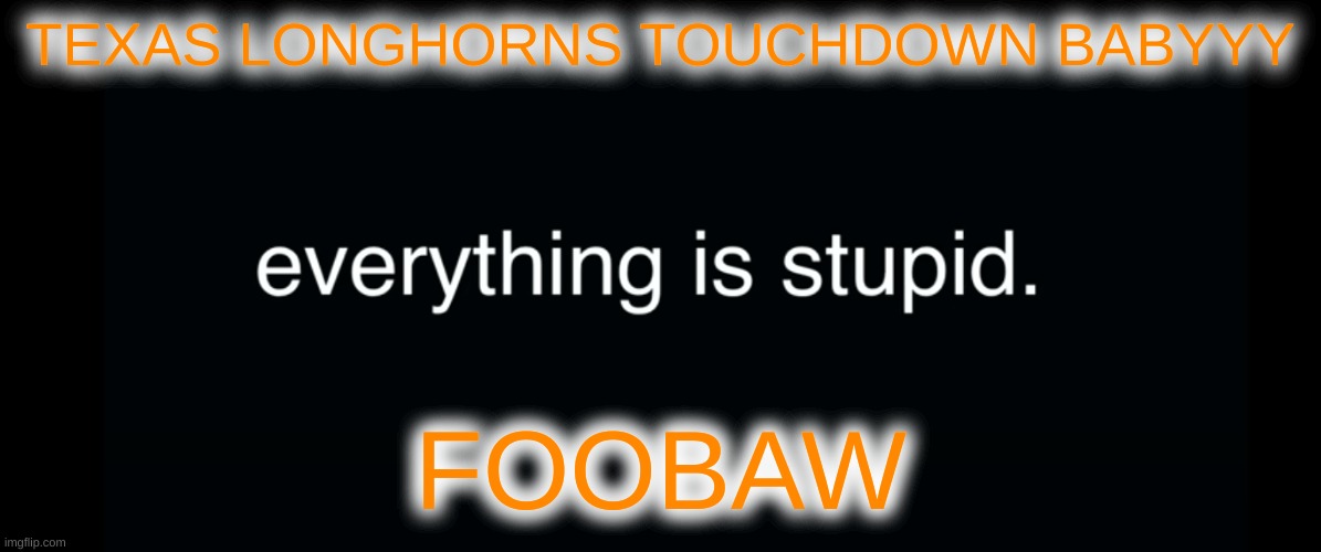 Everything is stupid bill wurtz | TEXAS LONGHORNS TOUCHDOWN BABYYY; FOOBAW | image tagged in everything is stupid bill wurtz | made w/ Imgflip meme maker