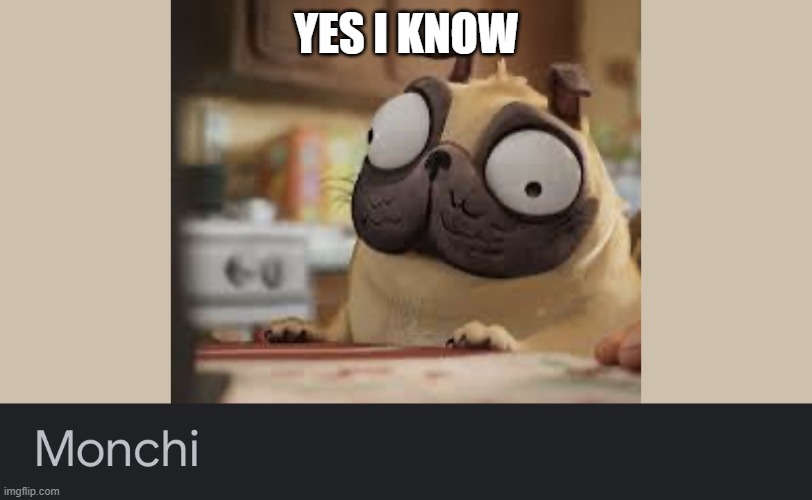 YES I KNOW | image tagged in monchi | made w/ Imgflip meme maker