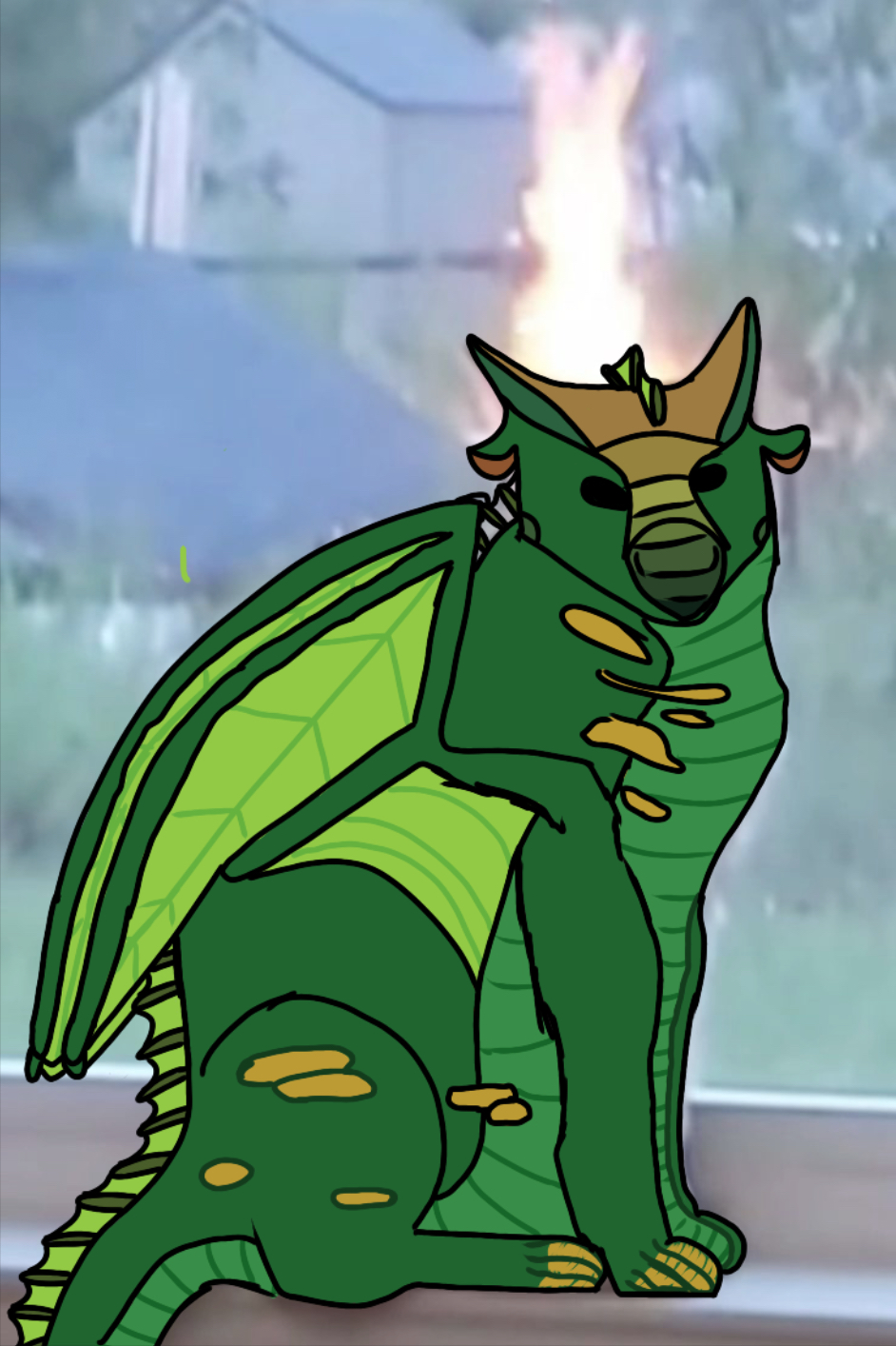 Sundew Blank Meme Template