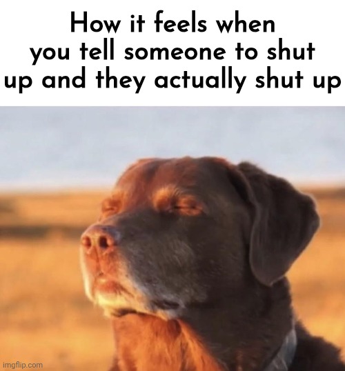Serenity achieved. | How it feels when you tell someone to shut up and they actually shut up | image tagged in blissful dog,memes,dogs,w,sybau,winning | made w/ Imgflip meme maker