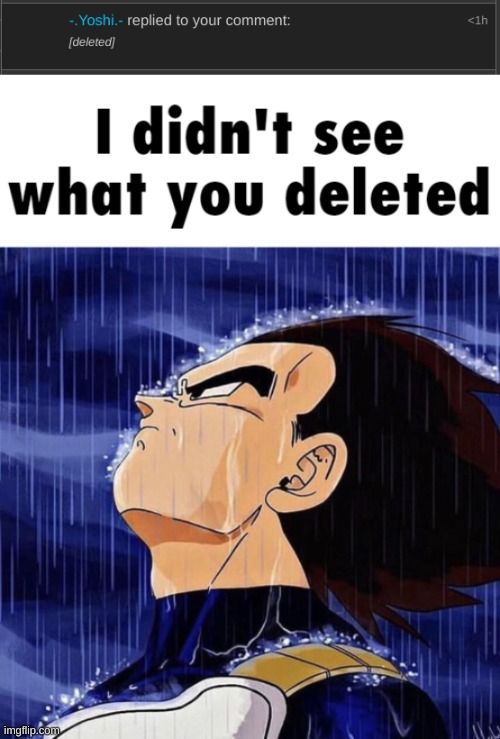 YOSHI PLEASE MC ME I HAVE TO KNOW | image tagged in i didn't see what you deleted | made w/ Imgflip meme maker