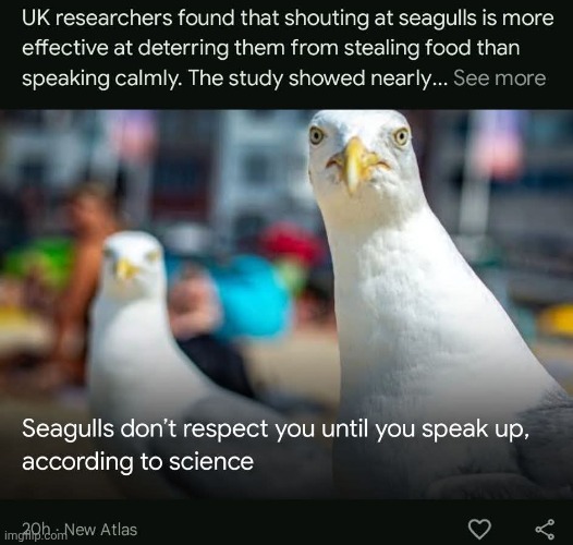 Turns out animals get scared when you yell at them. Who woulda thought? | image tagged in memez | made w/ Imgflip meme maker