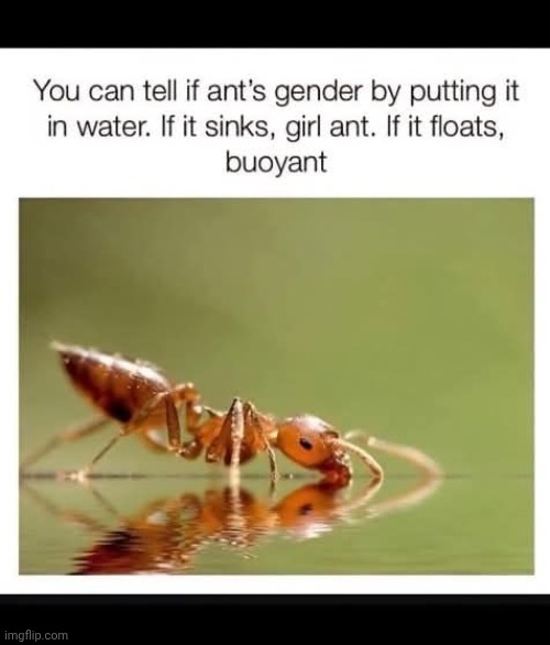 I'm here all week! | image tagged in bad joke | made w/ Imgflip meme maker