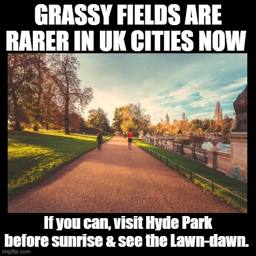 Lawn Dawn | GRASSY FIELDS ARE RARER IN UK CITIES NOW; If you can, visit Hyde Park before sunrise & see the Lawn-dawn. | image tagged in black square,london,grass,puns,uk,city | made w/ Imgflip meme maker