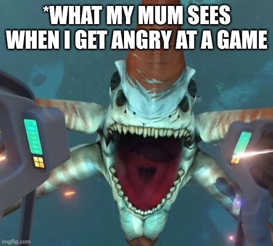 I scream at a game | *WHAT MY MUM SEES WHEN I GET ANGRY AT A GAME | image tagged in can t even swim in ohio | made w/ Imgflip meme maker