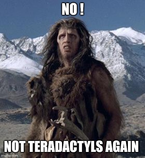 caveman | NO ! NOT TERADACTYLS AGAIN | image tagged in caveman | made w/ Imgflip meme maker