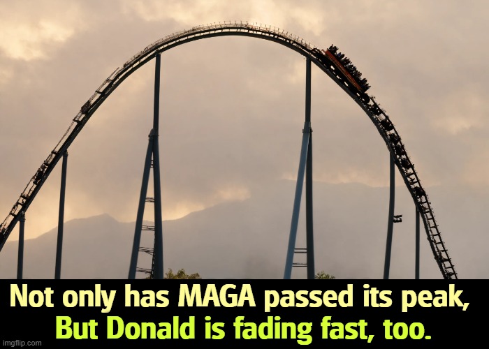 Not only has MAGA passed its peak, But Donald is fading fast, too. | image tagged in trump,maga,falling,fading away | made w/ Imgflip meme maker