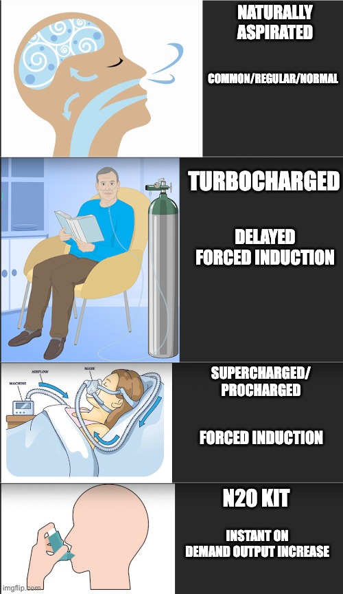 car-aspiration-meme | NATURALLY
ASPIRATED; COMMON/REGULAR/NORMAL; TURBOCHARGED; DELAYED FORCED INDUCTION; SUPERCHARGED/
PROCHARGED; FORCED INDUCTION; N20 KIT; INSTANT ON DEMAND OUTPUT INCREASE | image tagged in car memes,funny | made w/ Imgflip meme maker