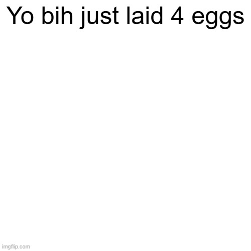 Yo bih just laid 4 eggs | made w/ Imgflip meme maker