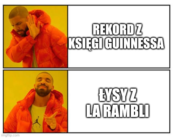 No - Yes | REKORD Z KSIĘGI GUINNESSA; ŁYSY Z LA RAMBLI | image tagged in no - yes | made w/ Imgflip meme maker