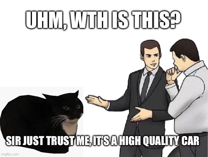 Car Salesman Slaps Hood | UHM, WTH IS THIS? SIR JUST TRUST ME, IT’S A HIGH QUALITY CAR | image tagged in memes,car salesman slaps hood | made w/ Imgflip meme maker