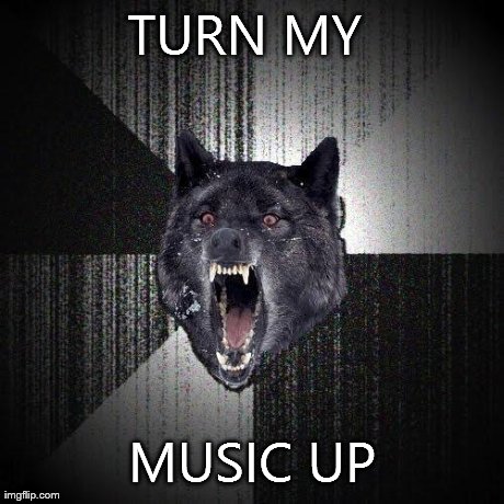 Insanity Wolf Meme | TURN MY  MUSIC UP | image tagged in memes,insanity wolf | made w/ Imgflip meme maker