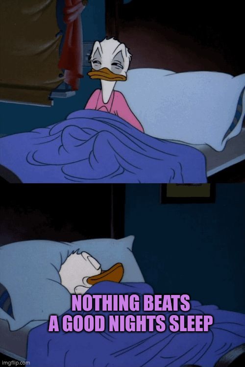 Nothing beats a good nights sleep | NOTHING BEATS A GOOD NIGHTS SLEEP | image tagged in sleeping donald duck,sleep,autism,rest | made w/ Imgflip meme maker