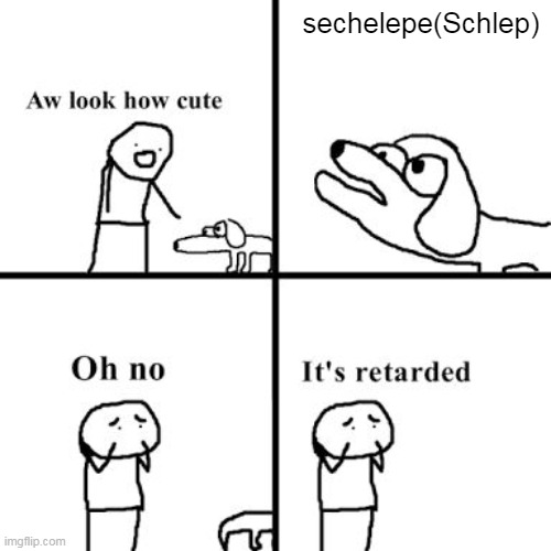 Oh no its retarted | sechelepe(Schlep) | image tagged in oh no its retarted | made w/ Imgflip meme maker